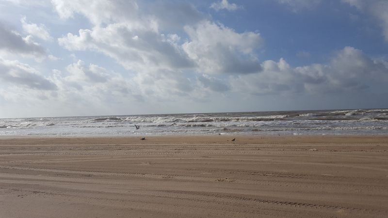 The Beach That Didn’t Perform