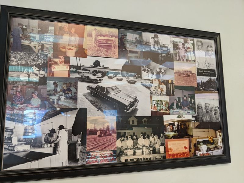 A Brief History And Stewardship