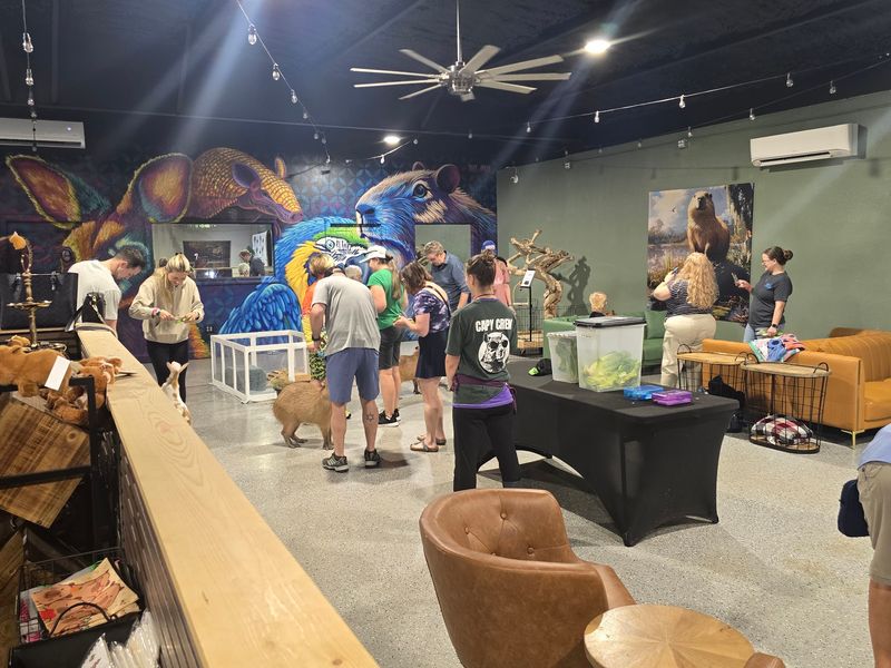 Where To Find This Furry Hangout Where To Find This Furry Hangout