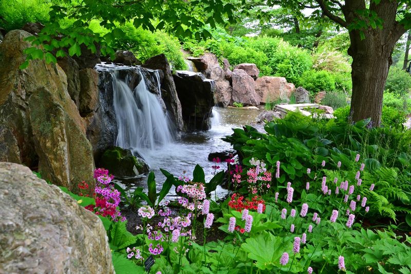 Chicago Botanic Garden, Glencoe