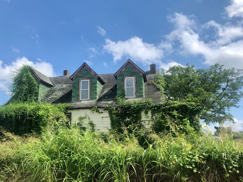 Levees That Hold The Line