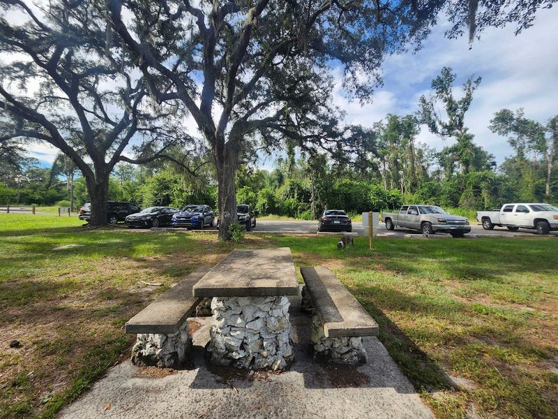 Ellaville’s Vanishing Foundations