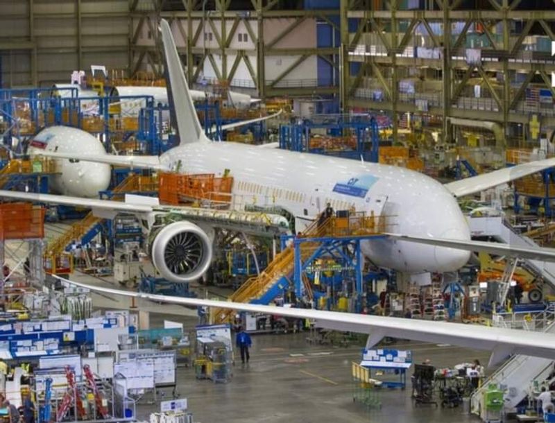 Where Wings Take Shape