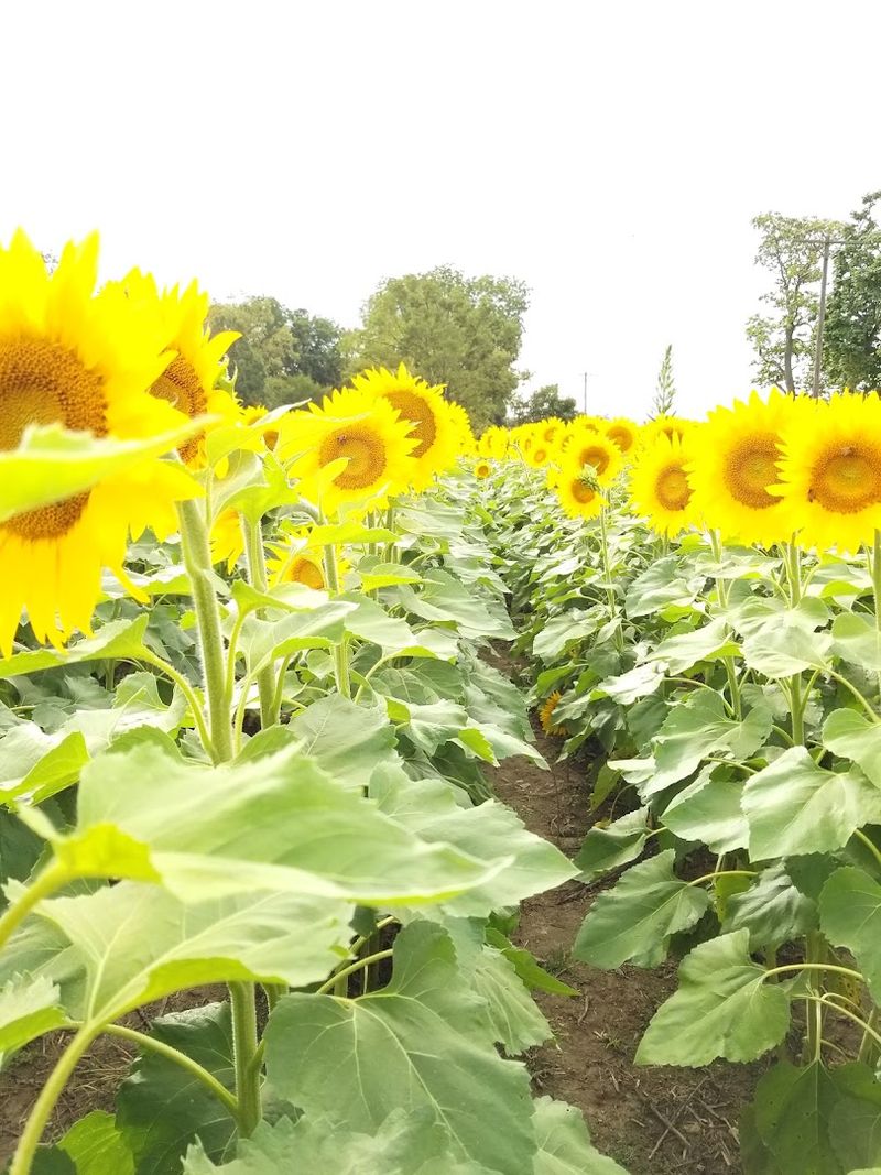 The First Sight That Stops You in Your Tracks