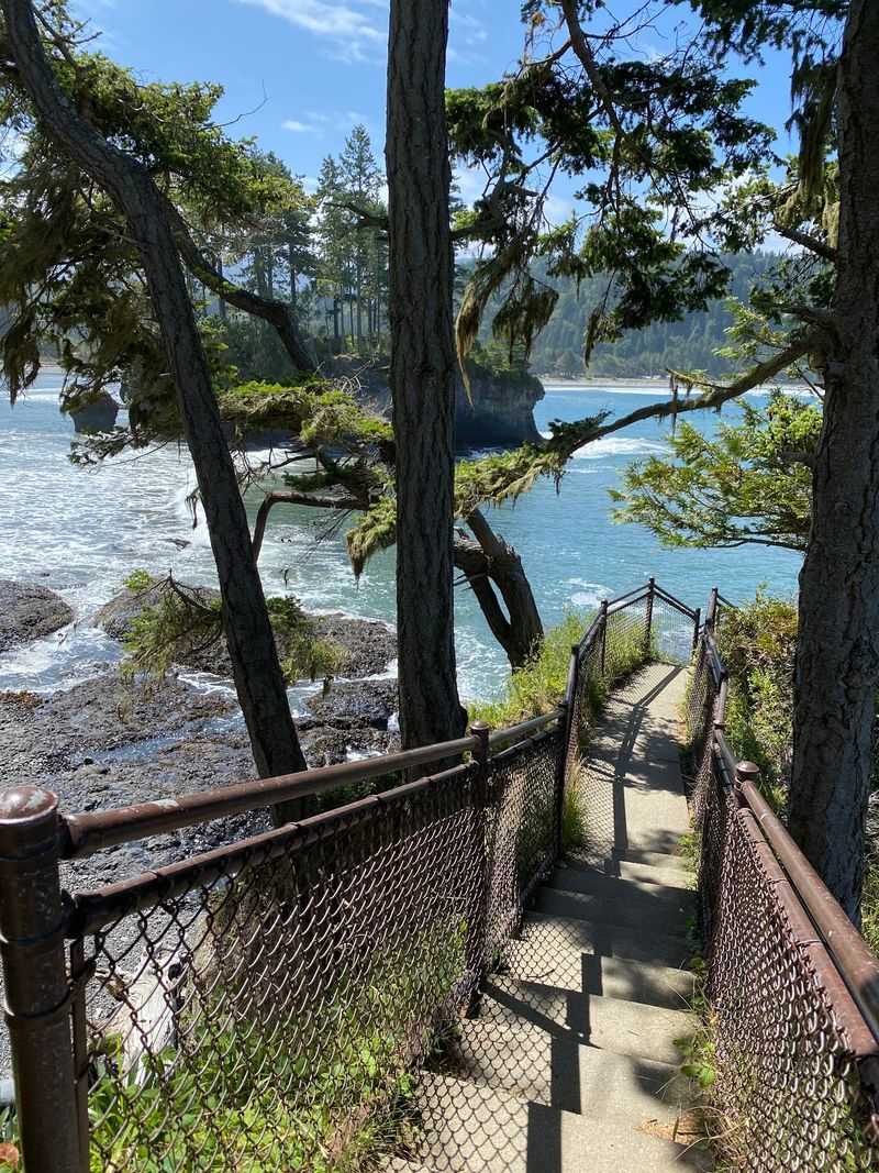 Where the Forest Meets the Strait
