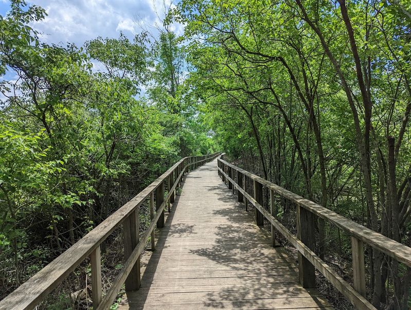 The Boardwalk Experience That Birders Dream About