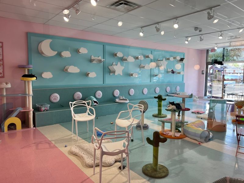 The Atmosphere Inside: Pastels, Purrs, and Good Vibes