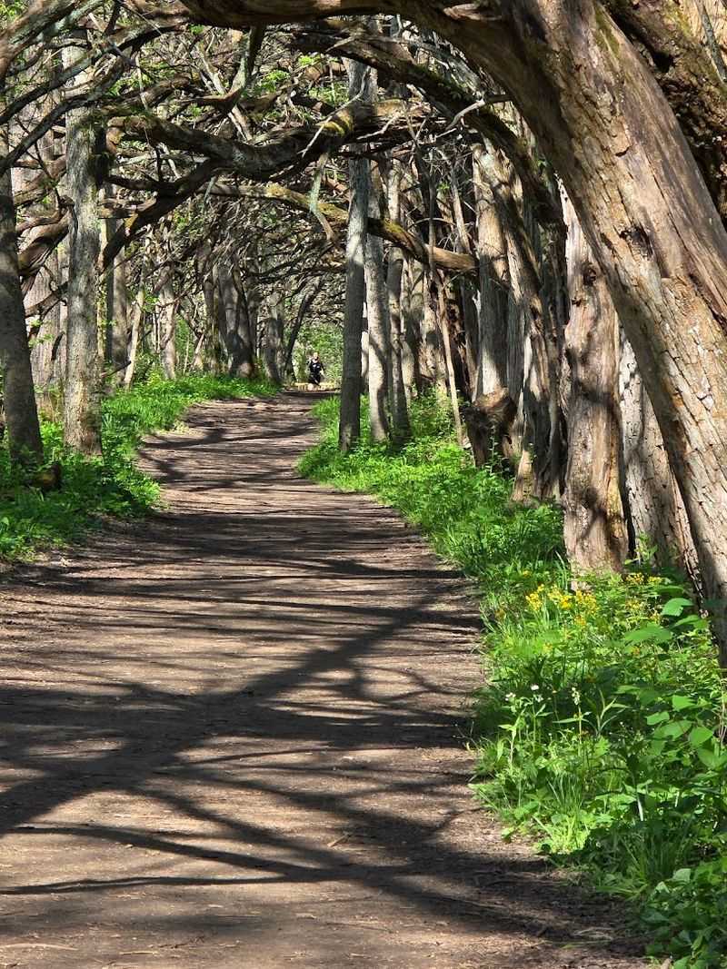 Where the Magic Starts: Finding the Park