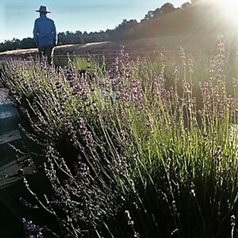 The Simple Promise This Farm Delivers