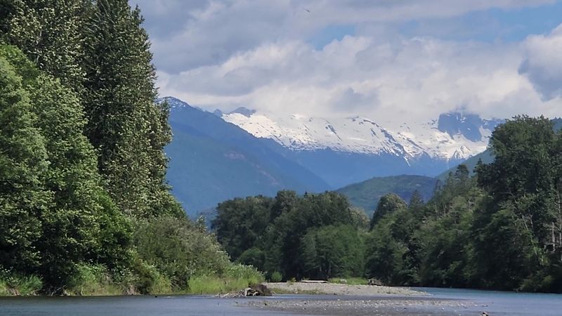 Where the River Meets the Eagles