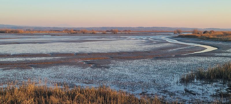 Where the River Meets the Sound