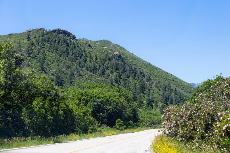 The Core Promise: A Scenic Drive That Actually Delivers