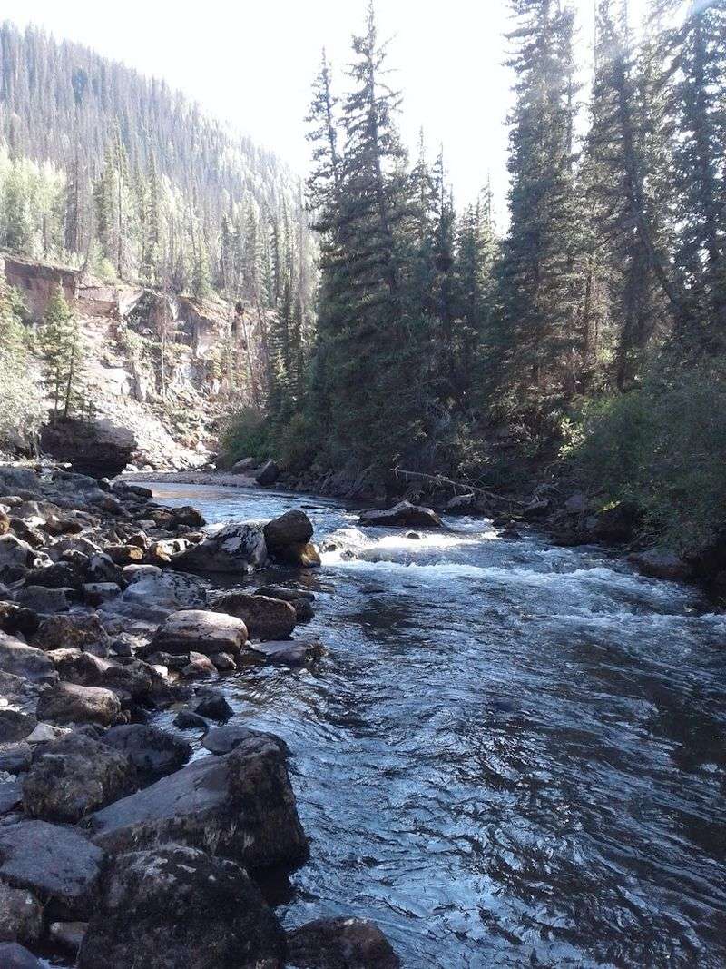 The Rio Grande Starts Right Here