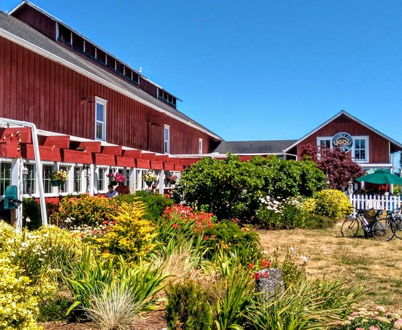 Whidbey Pies (Greenbank)