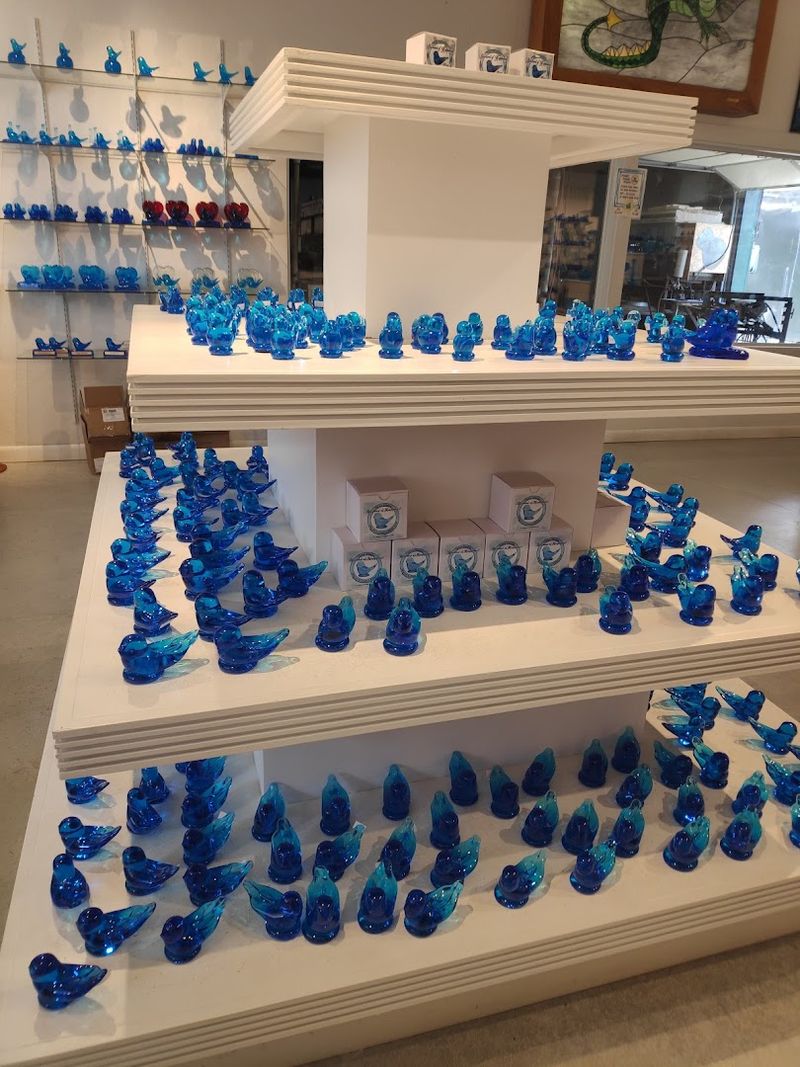 The Beloved Bluebirds That Spark Joy