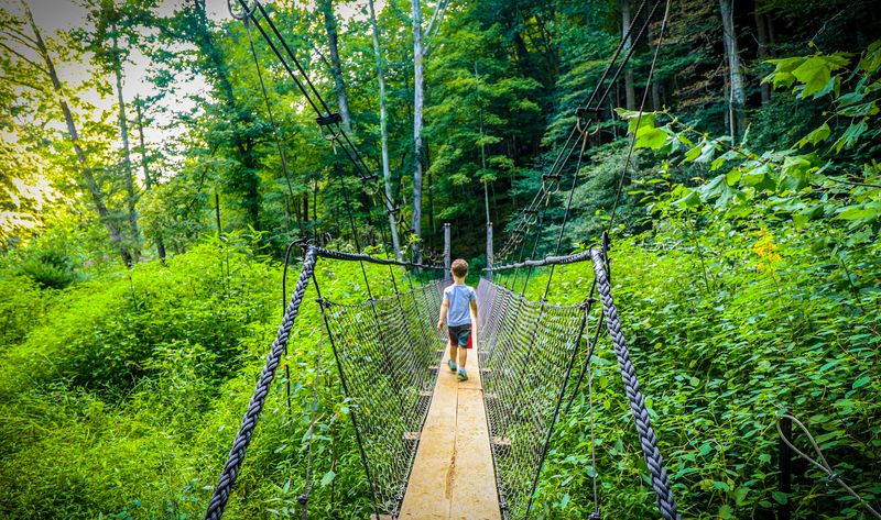 The Hemlock Bridge and the Gorge Below It