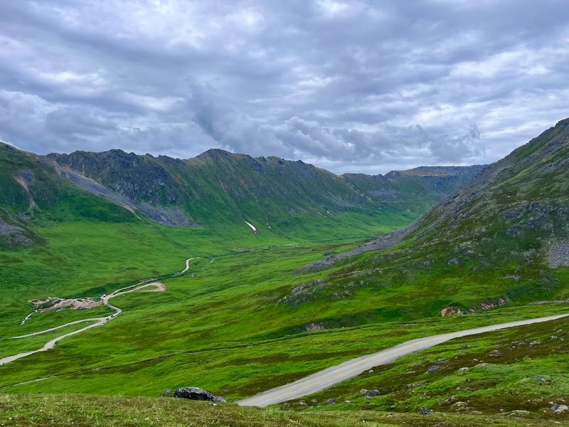 Whispers Of Wildlife In The Alpine