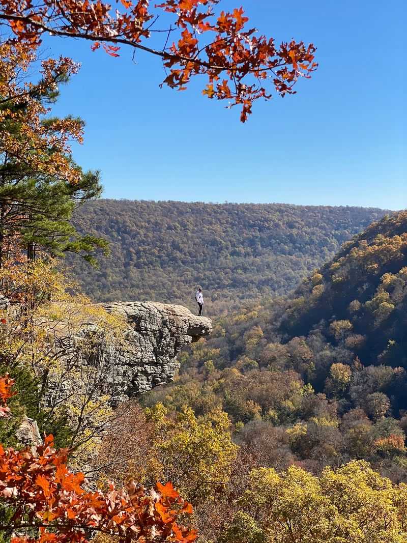Whitaker Point