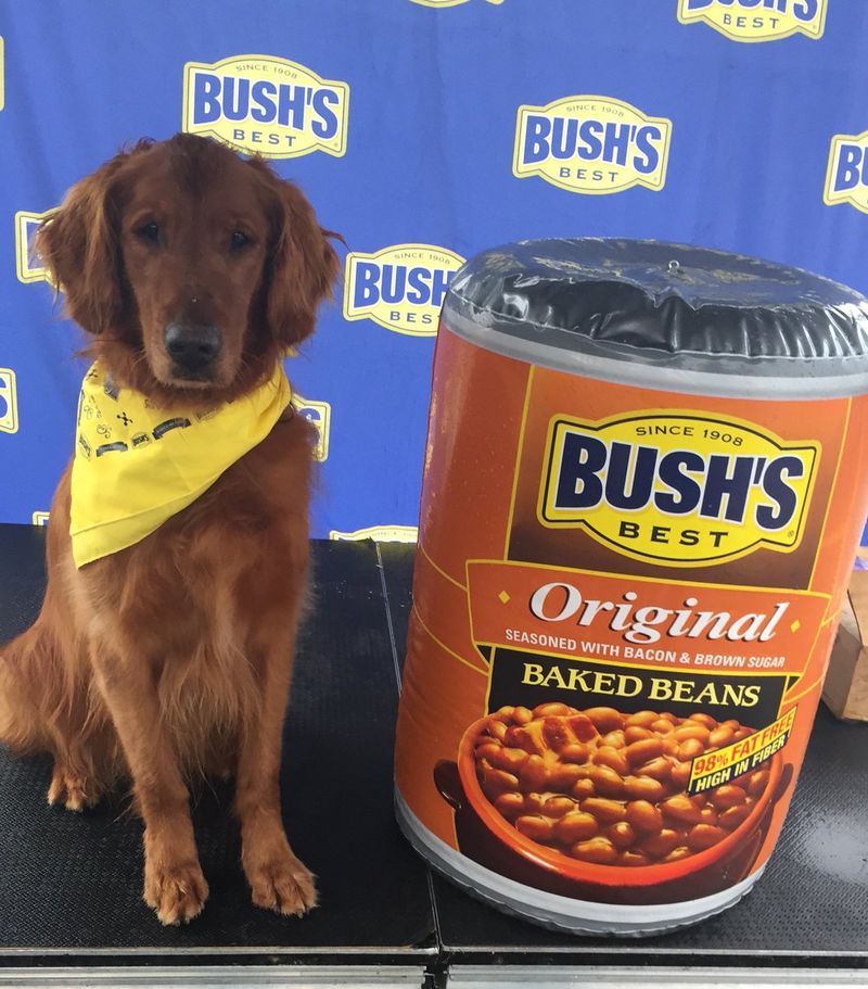 Bush's Baked Beans: Tennessee's Family Secret In A Can