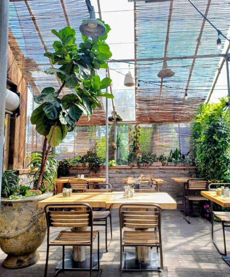 Terrain Cafe - Glen Mills