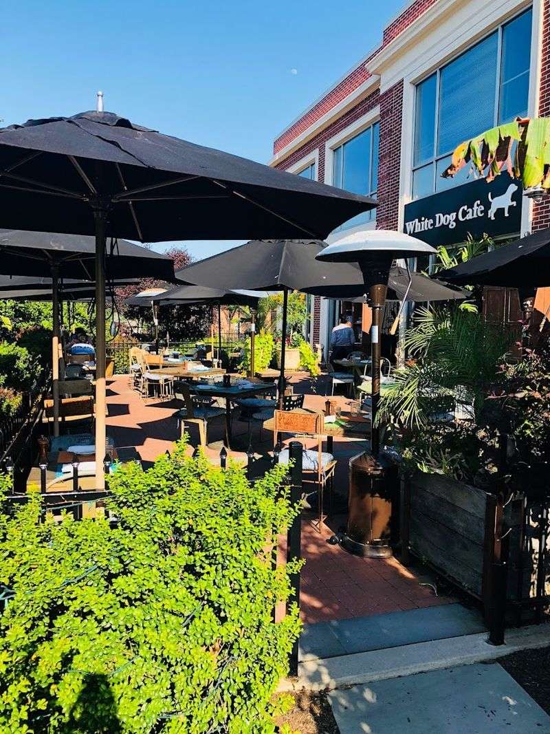 White Dog Café, Wayne