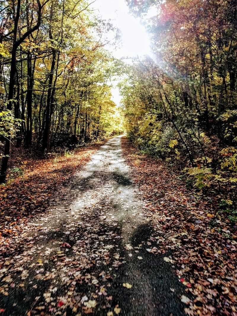 White Pine Trail