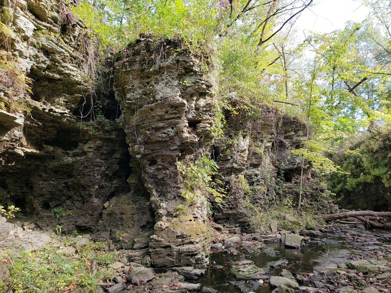 Sagawau Canyon Nature Preserve, Lemont