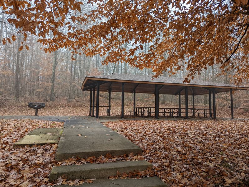 Alum Cove Natural Bridge Trail, Hector
