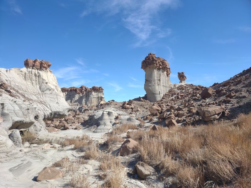 Bisti/De-Na-Zin Wilderness - NM-371 & Road 7297, Farmington