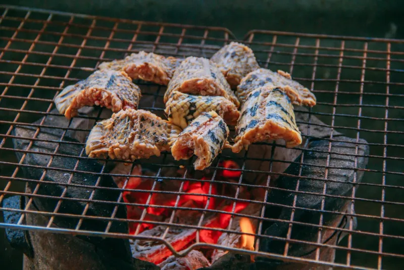 Rattlesnake Meat: Serpentine Protein