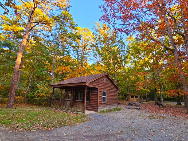 Belleplain State Forest
