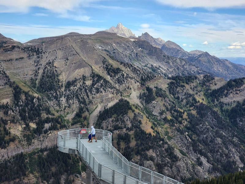 Jackson Hole Mountain Resort Summer Activities