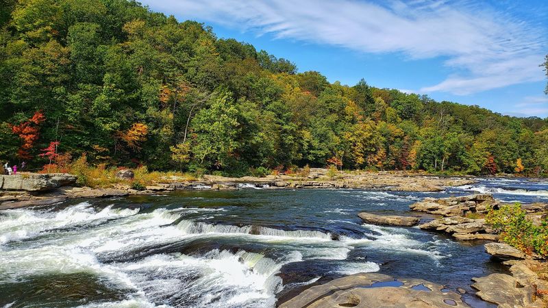 Whitewater Thrills on the Yough