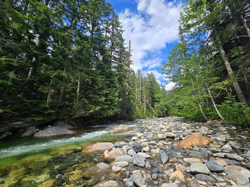 Who Feels Most at Home on This Trail