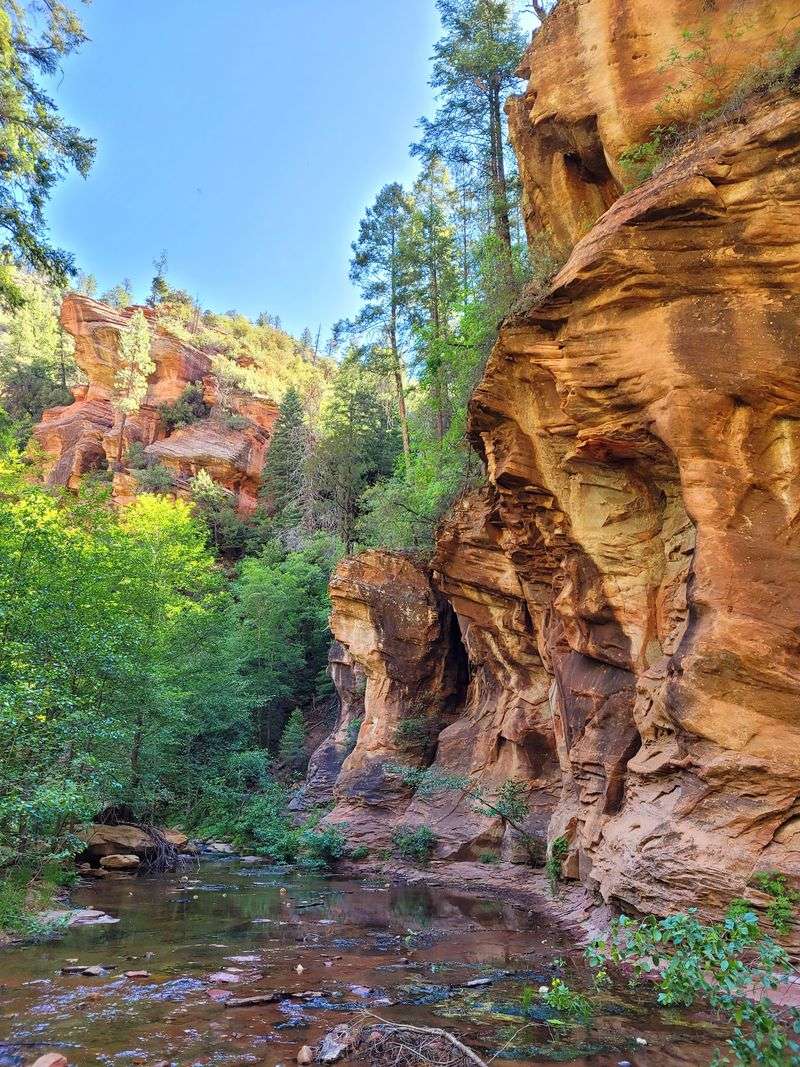 Who Feels at Home on This Trail