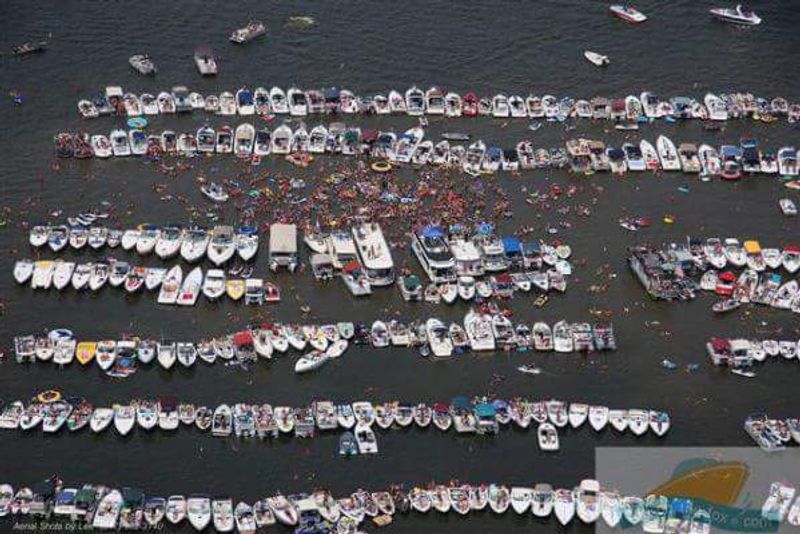 Who Fits Right In on the Sandbar Who Fits Right In on the Sandbar