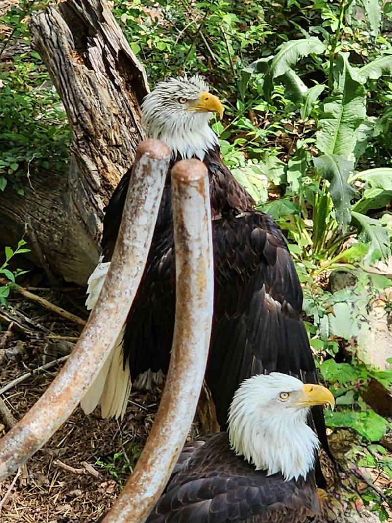 Final Verdict: Why the Islands of Life Deserves a Spot on Your Colorado Itinerary