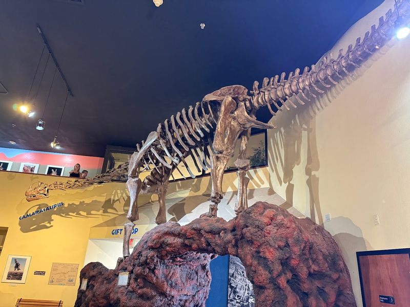 Who This Museum Is Built For and Who Might Want to Adjust Expectations