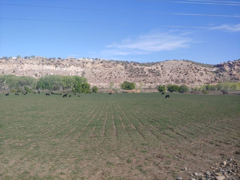 An Easy Little Outing Frame