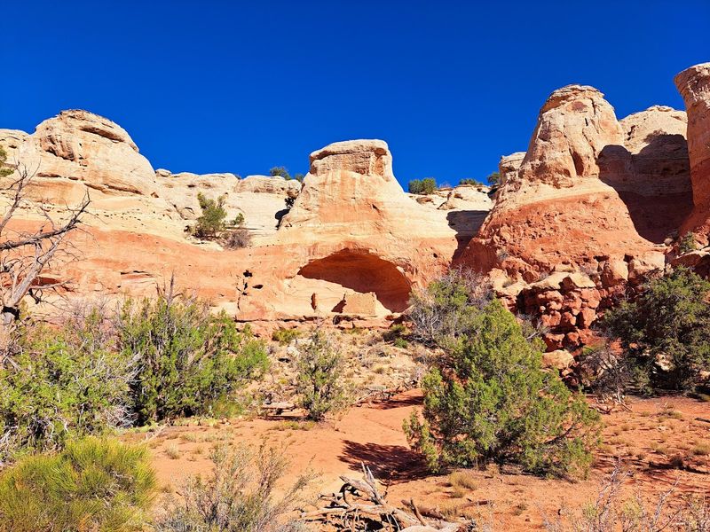 Packing Smart for a Dry, Exposed Desert Hike