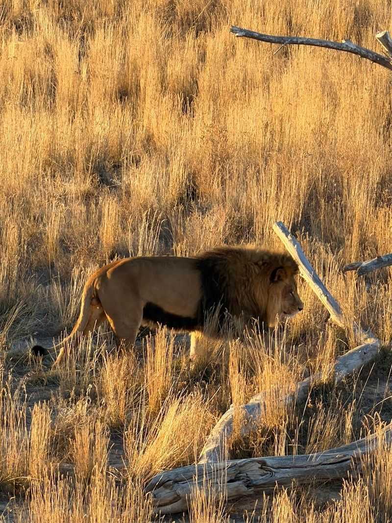 Final Verdict: Key Takeaways Before You Go