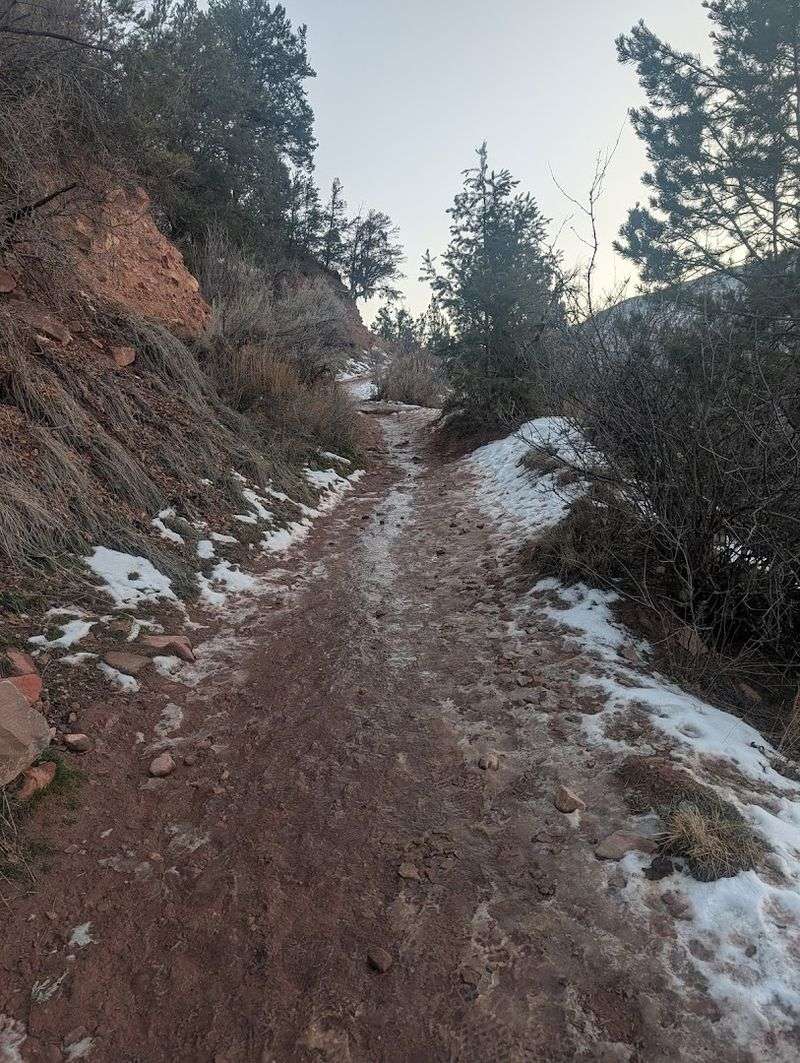 The Climb Itself: What to Actually Expect