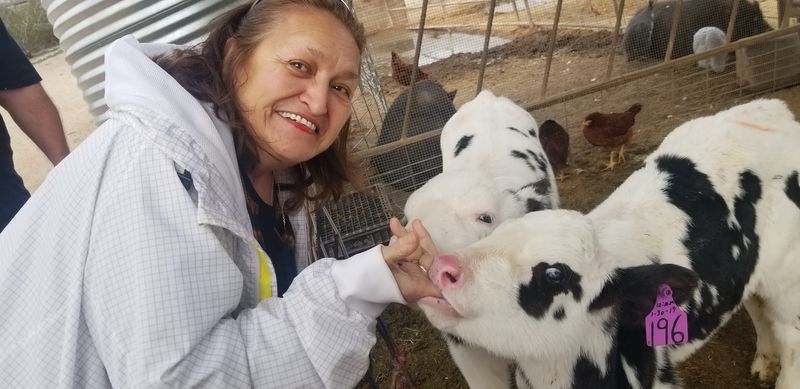 Who Will Love This Farm The Most