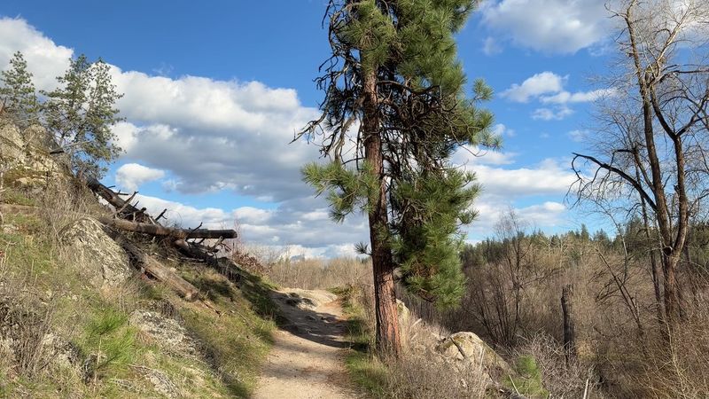 Who Will Love This Trail Most Who Will Love This Trail Most