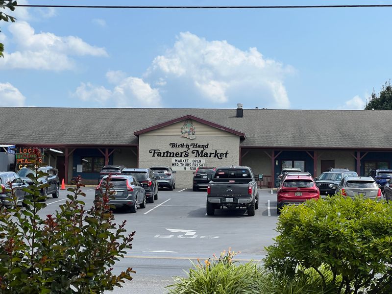 Hand-Woven Baskets For Every Household Need
