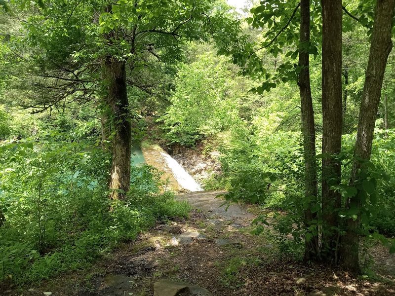 The Moment You Will Not Want To Leave