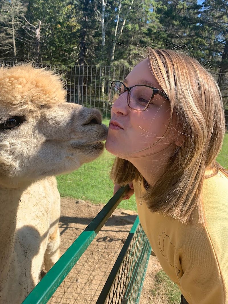 Why Alpacas Win Everyone Over Why Alpacas Win Everyone Over
