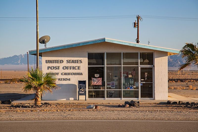 Why Amboy Is Having Its Moment Right Now