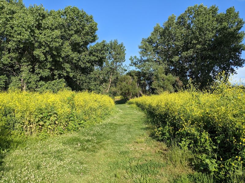 The Trails You Will Actually Want to Walk