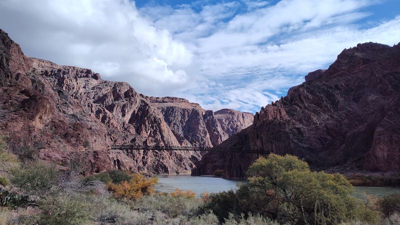 Reservations: The Golden Ticket To The Canteen